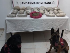 Sınırdan Geçirilen 2 Milyon Lira Değerindeki 11 Kilogram Bonzai Ele Geçirildi