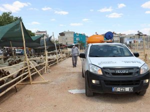 Gaziantep’te Kurban Satış Ve Kesim Yerleri İlaçlanıyor