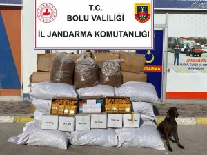 Kargo Araçlarına Kaçak Tütün Operasyonu: 7 Gözaltı