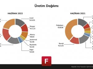 Yenilenebilir Enerjinin Payı Artıyor