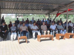 Üreticilere Silajlık Mısır Tohumu Dağıtıldı