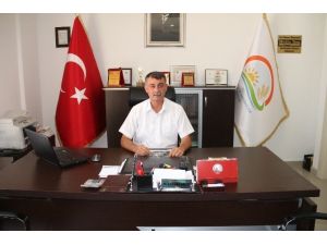 Mut, Zeytin Ve Zeytinyağında Altın Yılını Yaşıyor