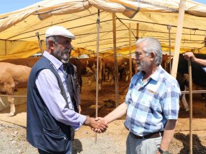 Kurban Bayramı’na Bir Gün Kala Pazarlıklar Kızıştı