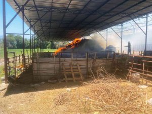 Sigara İzmariti 5 Ton Buğday Ve 2 Bin Balya Samanı Yaktı