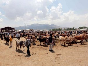 Van’da Kurban Kesim Yerleri Belirlendi