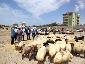 Başkan Akman, Kurban Satış Noktalarını Ziyaret Etti