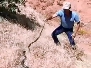 Dağda Bulduğu 3 Metrelik Yılanı Önce Sevdi, Sonra Tekrar Doğaya Bıraktı