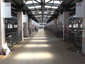 Osmangazi’de Kurban Kesim Yerleri Belli Oldu