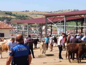 Havza Bayrama Hazır