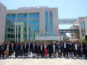 Avukat Ve Sağlıkçılardan Basın Açıklaması