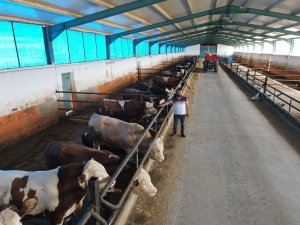 Tkdk Verdi, Kendi Besi Çiftliğini Kurdu