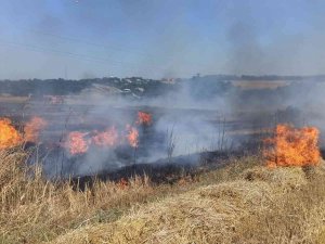 Saman Balyaları Alev Aldı, Ormanlık Alana Sıçramadan Söndürüldü