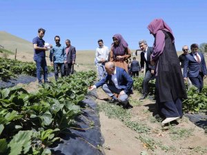 Ağrı Valisi Varol’dan Kadın Kooperatifi’ne Ziyaret