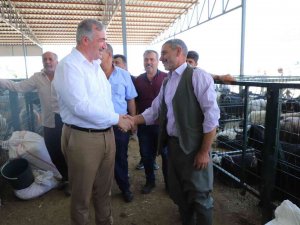 Başkan Turanlı Hayvan Pazarını Ziyaret Etti