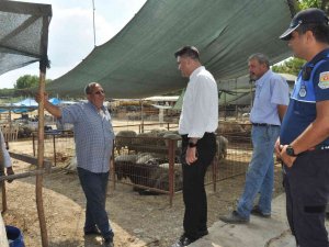 Tarsus’ta Kurban Satış Yerleri Denetlendi