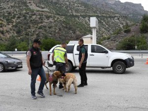 Vali Taşbilek, Kurban Bayramı Trafik Denetimine Katıldı