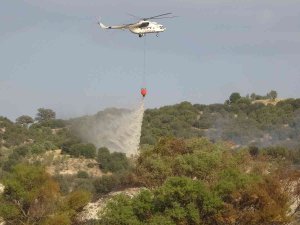 Uşak’ta Ormana Girişler Eylül Sonuna Kadar Yasaklandı