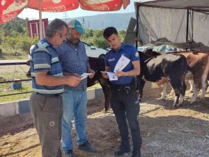 Polisten Kurban Satıcılarına Dolandırıcılık Uyarısı