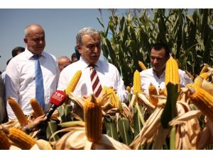 Vali Büyük’ten Anız Uyarısı
