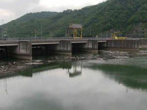 Kurban Atıklarını Baraj Gölüne Attılar