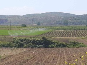 Bursa Ekonomisine Sulama İle Katkı