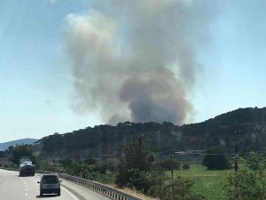İ̇zmir’de Otluk Alanda Yangın