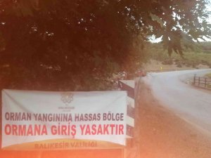 Orman İ̇şletme Şefliğinden Piknik Alanlarına Sürekli Kontrol