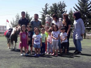 Mardin’e 20 Dönümlük Atlı Spor Kulübü