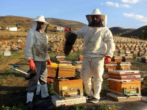 Yaylaları Çiçeklerle Kaplanan Bayburt’ta Bal Sezonu Bereketli Geçecek