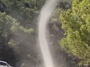 Mesire Alanında Hortum Şaşkınlığı