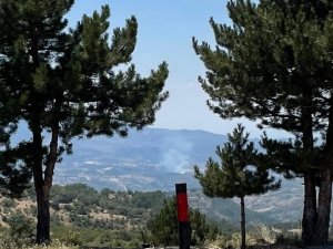 Manisa’da Çıkan Orman Yangını Kontrol Altına Alındı