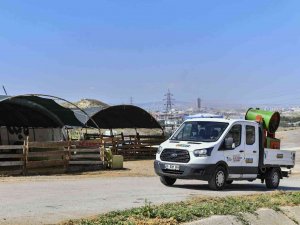 Ankara’da Kurban Satış Ve Kesim Alanlarında İlaçlama Seferberliği