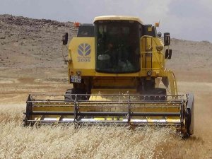 Kilis’te Hububat Hasadı Sona Erdi