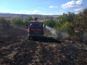 Tunceli’de Arazi Yangını