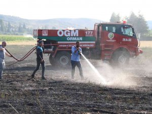 40 Dönümlük Arpa Tarlası Dakikalar İçerisinde Küle Döndü