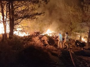 Datça’daki Orman Yangınında Çalışmalar Gece De Devam Ediyor