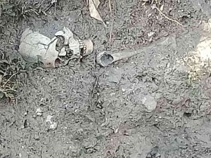 Yağmur Suyu Toprağı Aşındırdı, Köyde İnsan İskeleti Bulundu