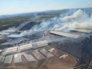 Bergama’da Otluk Alanda Yangın