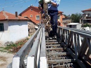 Yaralı Leylek İçin İtfaiye Ve Köylüler Seferber Oldu