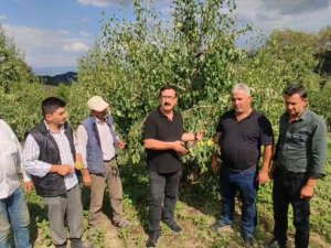 Çiftçiyi Dolu Vurdu, 20 Milyon Tl Zarar