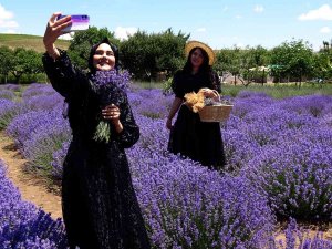 Yozgat’ta Lavanta Bahçesi Doğal Stüdyo Alanına Döndü