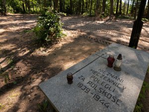 Polonya’da Nazi Kurbanı 8 Bin Kişinin Külleri Bulundu