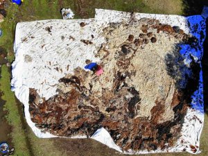 Binbir Emekle Yıkayıp, Saatlerce Tokaçla Dövüyorlar