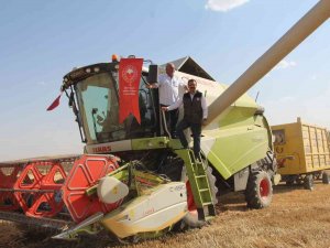 Siirt’te Buğday Hasadında Sona Gelindi, 125 Bin Ton Verim Bekleniyor
