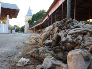 Kurban Derileri Kırkpınar Er Meydanı’nda Kokmaya Başladı