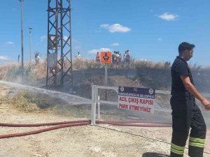 Facianın Eşiğinden Dönüldü: Mangal Keyfi Bir Mahalleyi Küle Çevirecekti