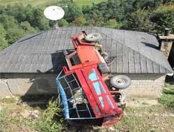 İnek taşıyan kamyon, çatıya uçtu