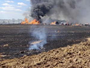 Saman Balyaları Alev Alev Yandı, Tarım Deposu Kül Oldu