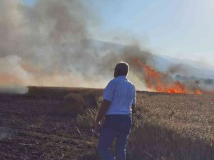 Buğday Tarlası Yangında Küle Döndü