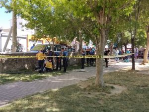 Adliye Binası Yanında Ölü Bulundu